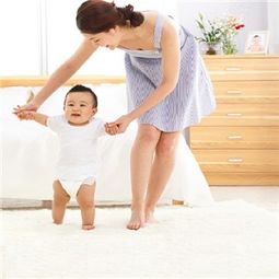 傻大姐家政 產(chǎn)品展示與店鋪裝修設計